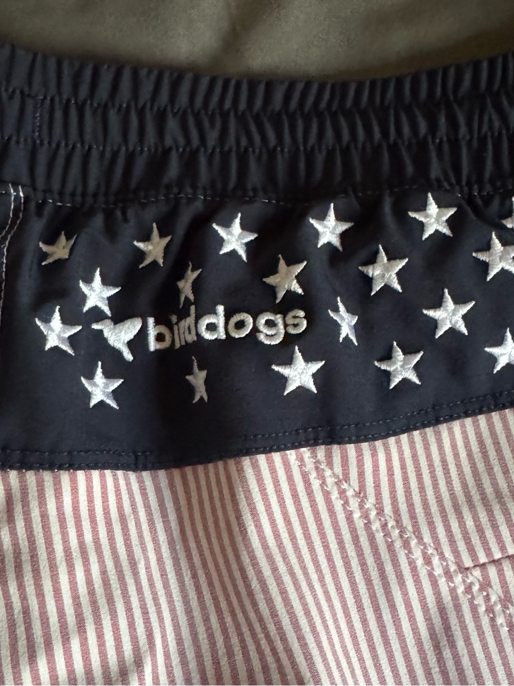 Birddogs Gym Shorts 6” - Picture 3 of 4